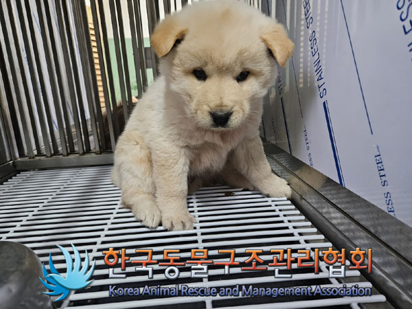 한국동물구조관리협회_441406202302111